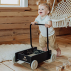 Babyleksaker micki lära-gå-vagn svart premium